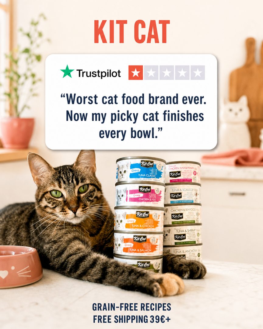 Kitcat Trustpilot Ironic